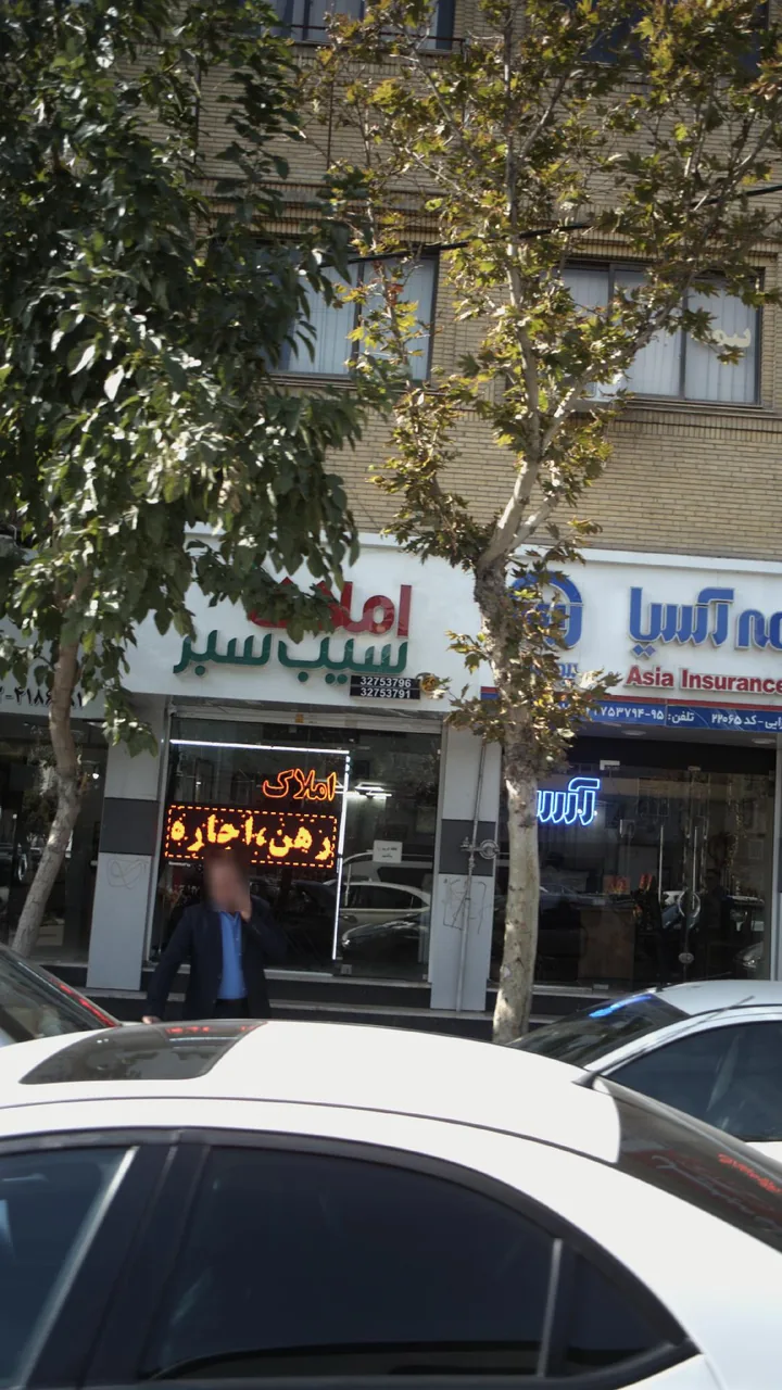 املاک بزرگ سیب سبز