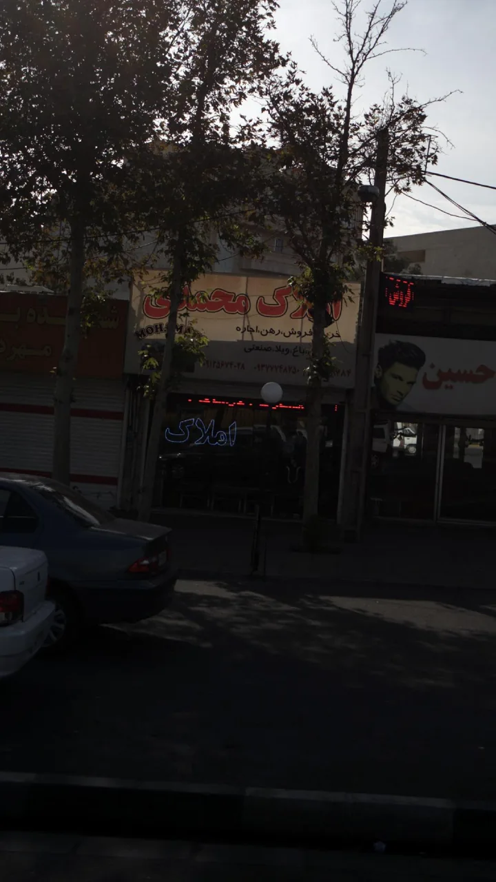 املاک محمدی