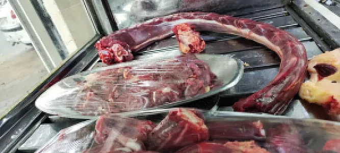عرضه گوشت شترمرغ رضایی نژاد