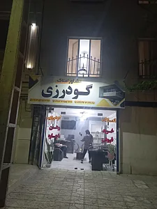 املاک گودرزی
