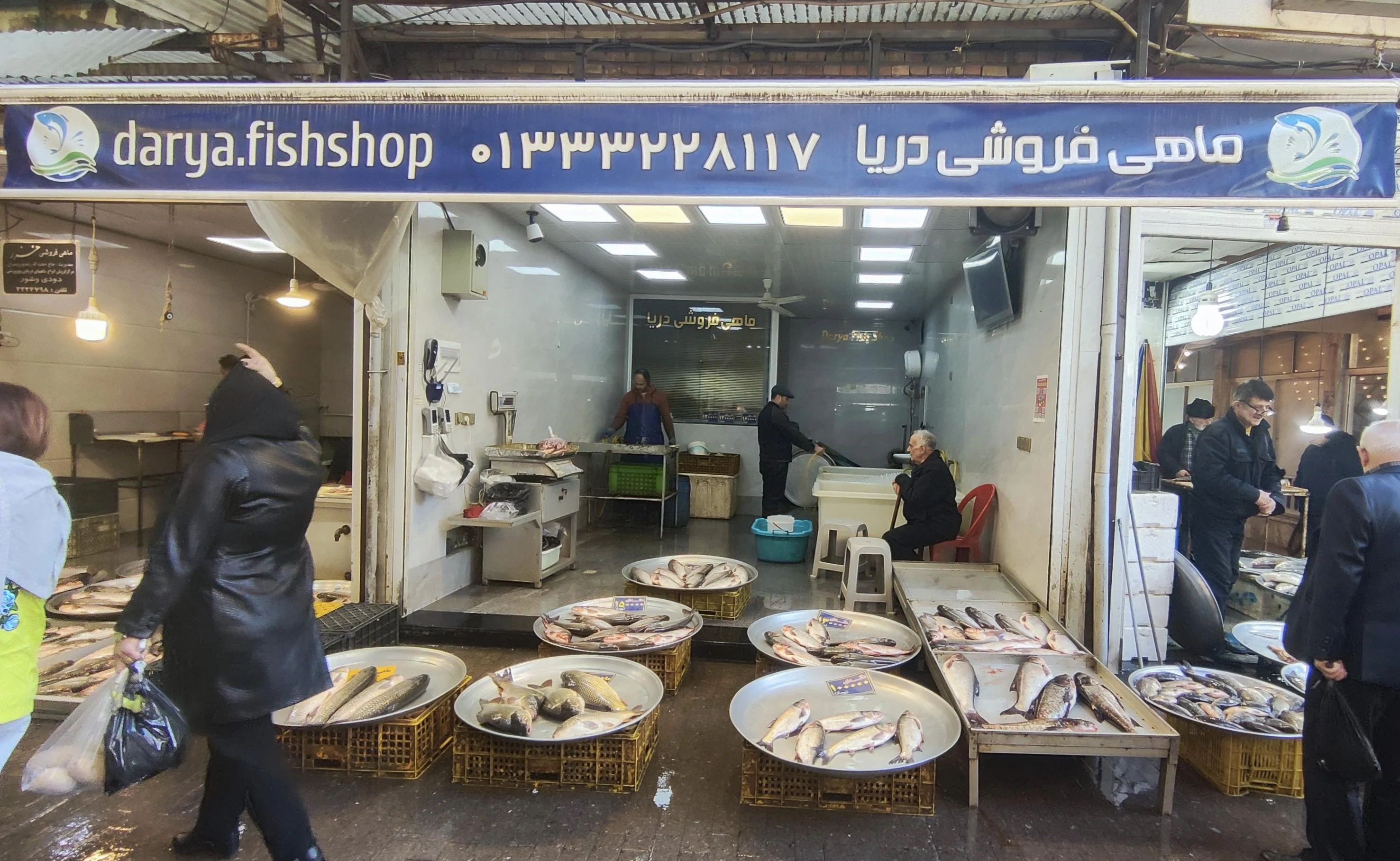 ماهی فروشی دریا