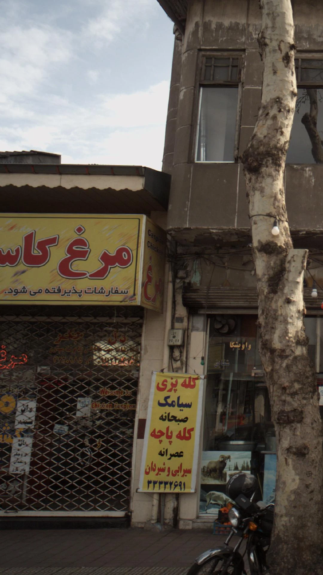 مرغ کاسپین