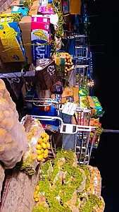 میدان میوه و تره بارشیراز حجره ۵۹ محمدرضا زارع