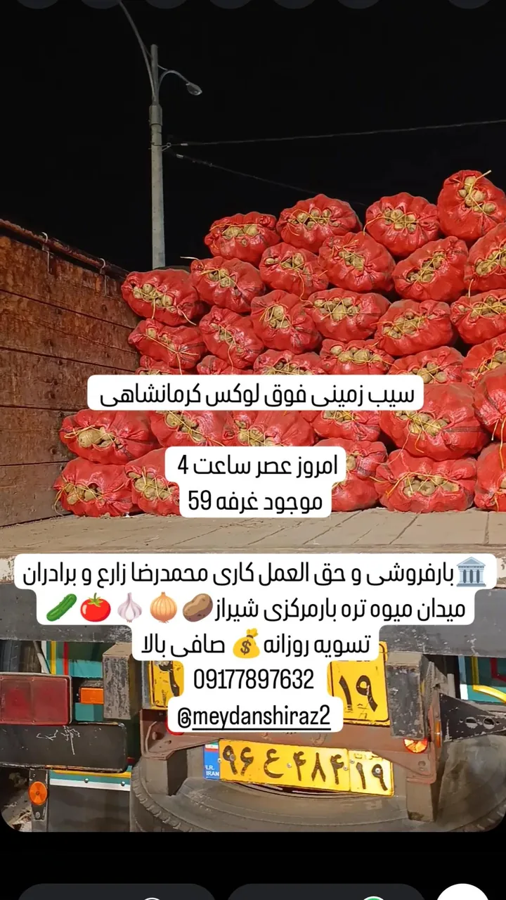 میدان میوه و تره بارشیراز حجره ۵۹ محمدرضا زارع - تصویر 2