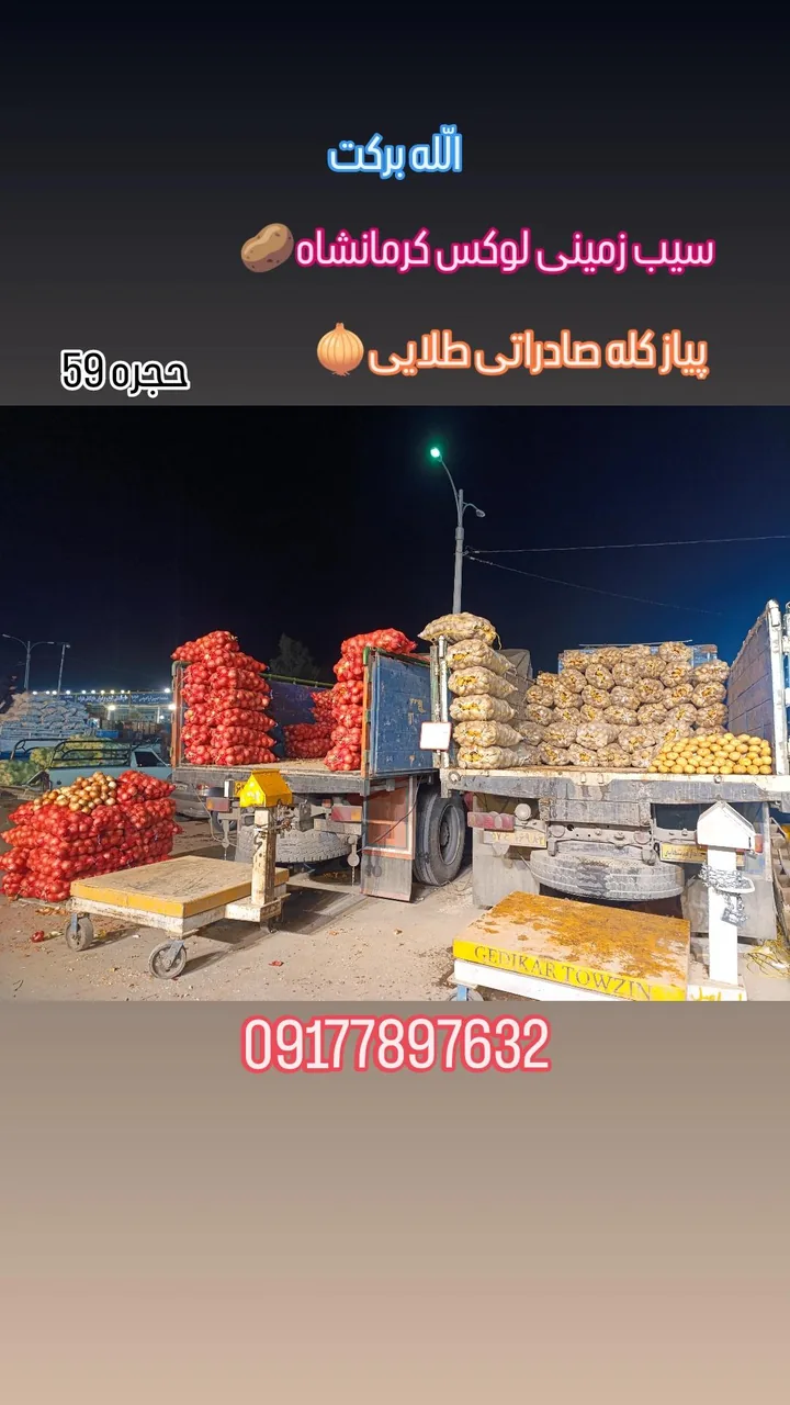 میدان میوه و تره بارشیراز حجره ۵۹ محمدرضا زارع - تصویر 3