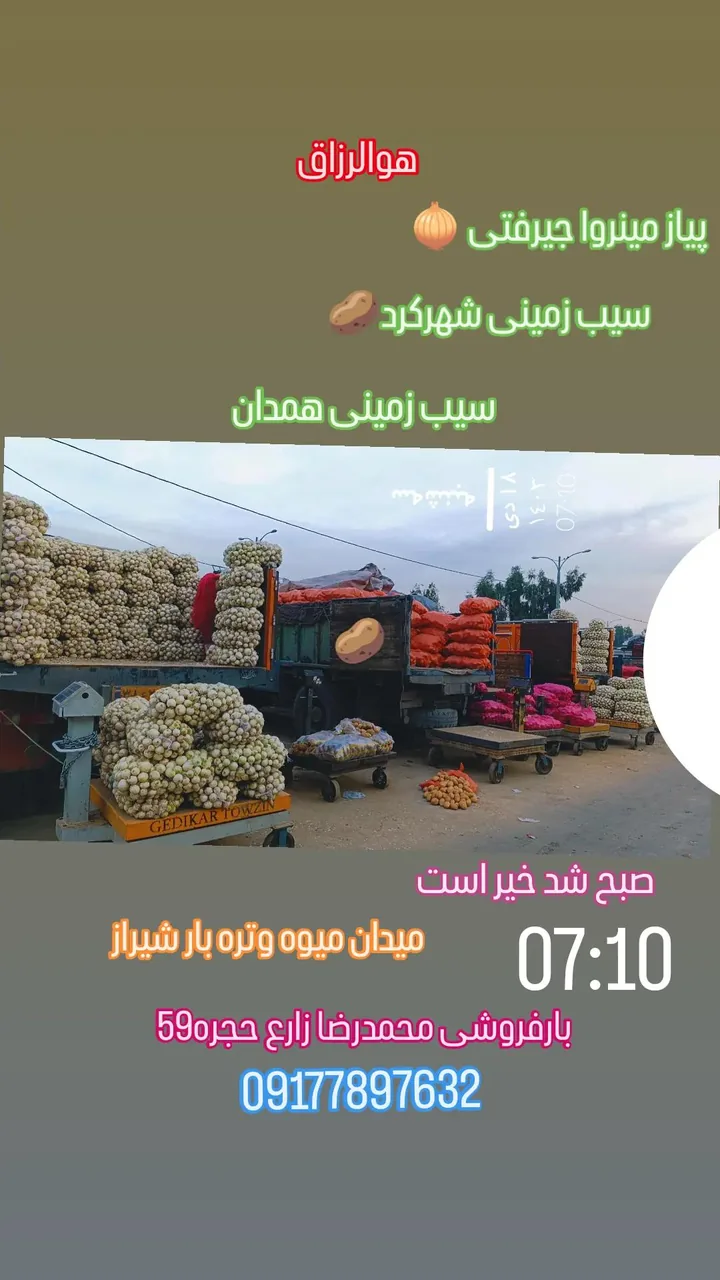 میدان میوه و تره بارشیراز حجره ۵۹ محمدرضا زارع - تصویر 4