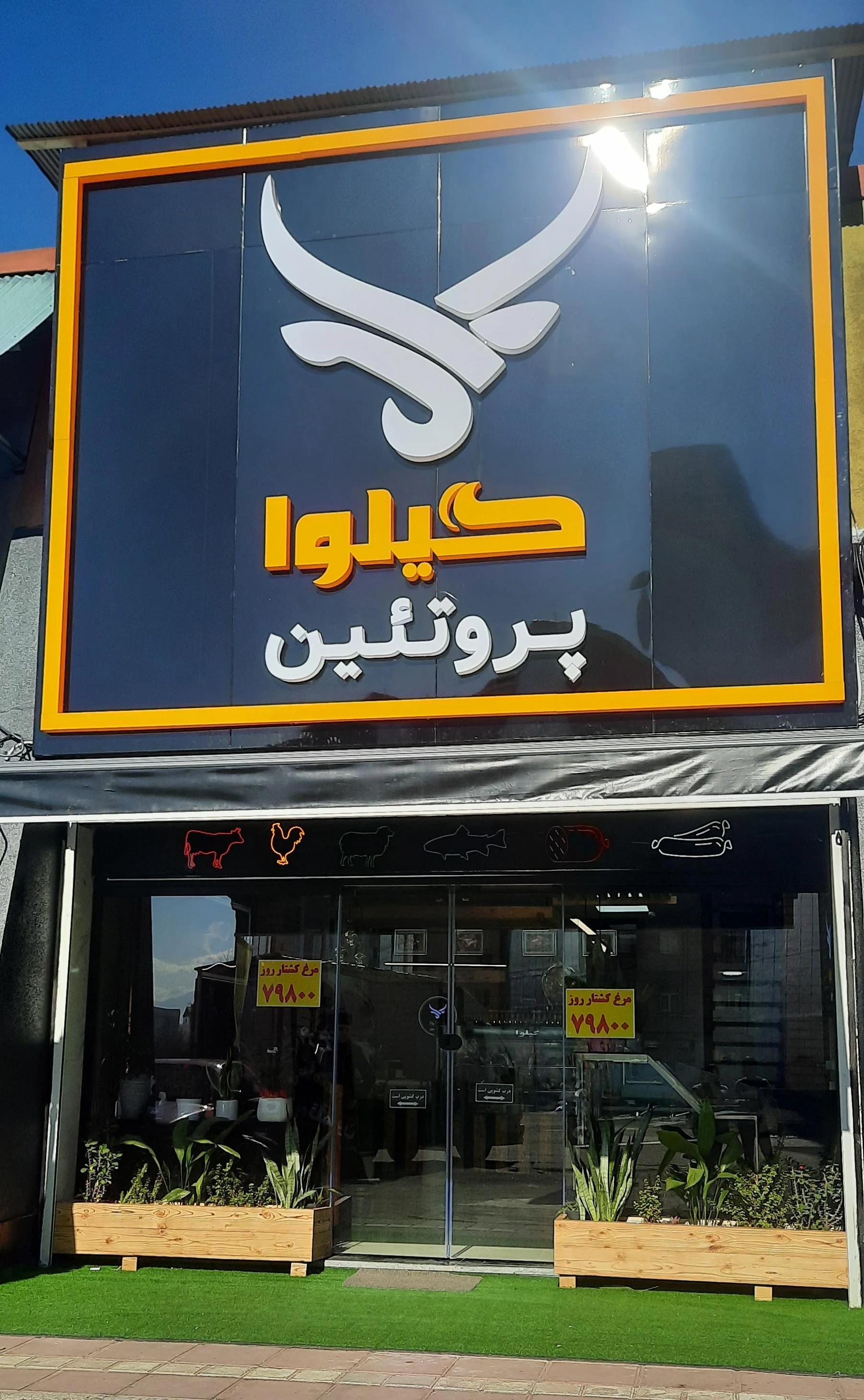گیلوا پروتئین