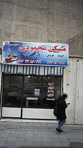 مسکن محمودی
