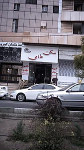 مسکن هادی