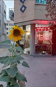 مشاورین املاک طهران