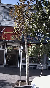 املاک ایران مقدسی