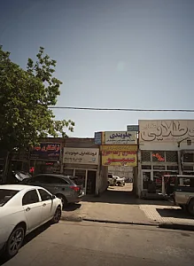 جلوبندی خودرو