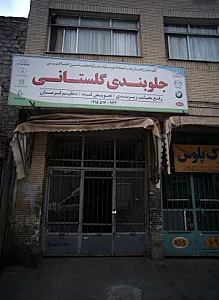 جلوبندی گلستانی