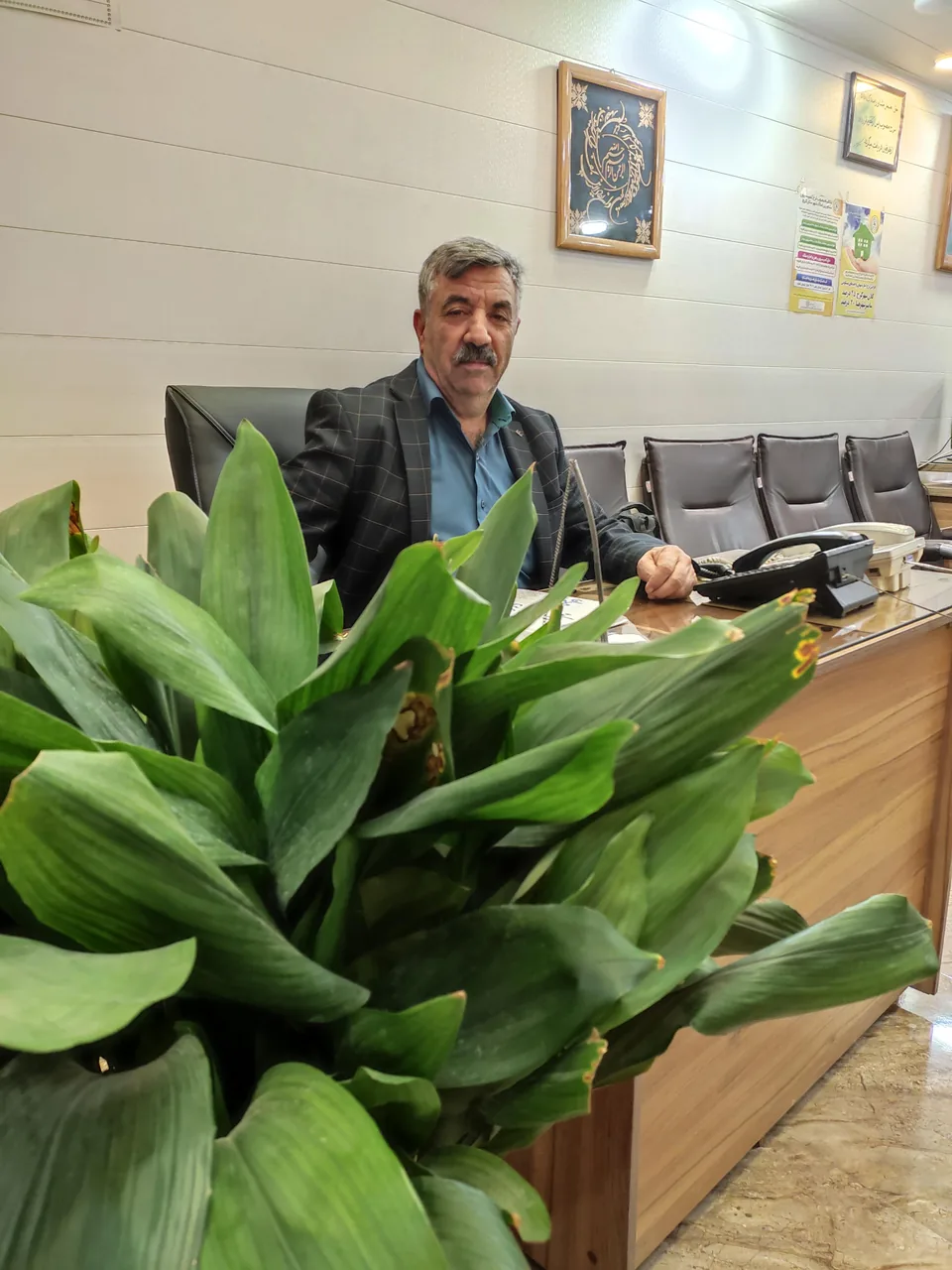 املاک ربیعی - تصویر 2