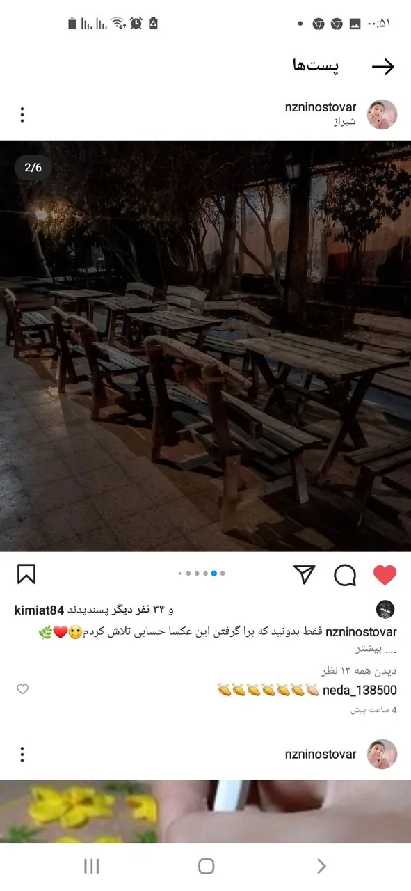خانه باغ ایرانی - تصویر 2