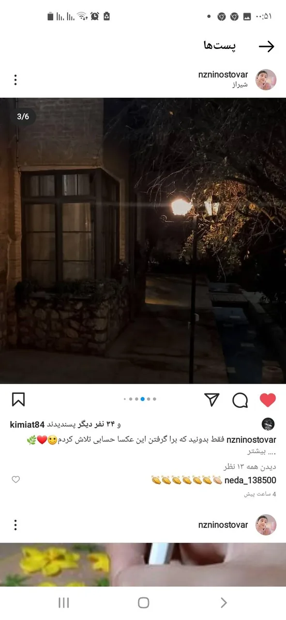 خانه باغ ایرانی - تصویر 3