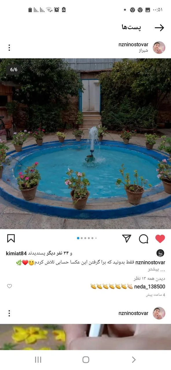 خانه باغ ایرانی - تصویر 4