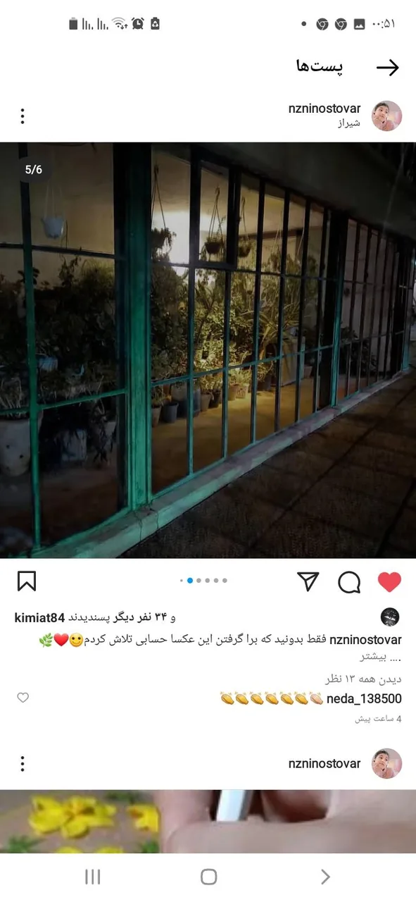 خانه باغ ایرانی - تصویر 5