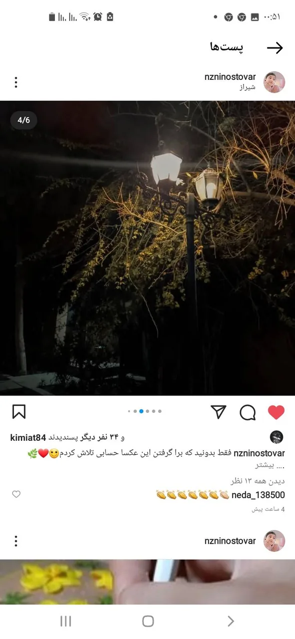 خانه باغ ایرانی - تصویر 6