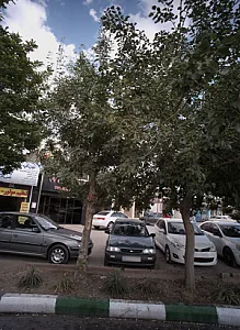 تعمیرگاه خودرو تون آپ سرویس