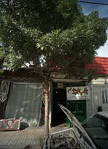 چکاپ جلوبندی اصغر