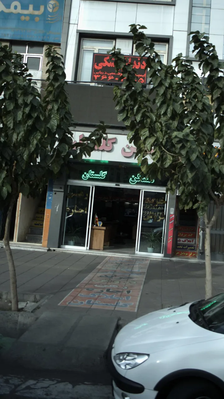 رنگ گلستان - تصویر 5