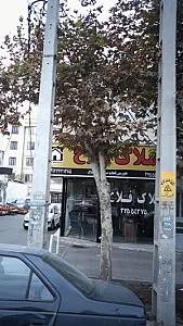 املاک فلاح
