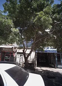 کلینیک جلوبندی حامد