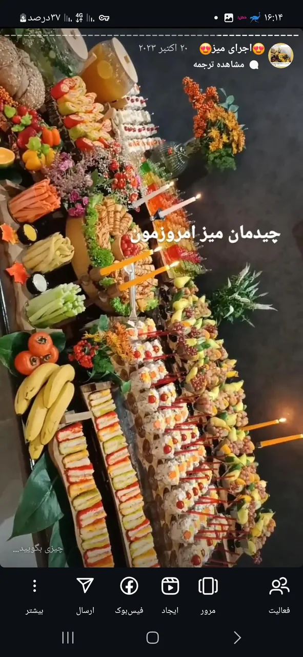 دنیای فینگر فود - تصویر 3