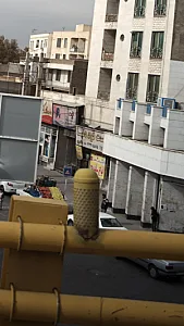 فست فود دنیا