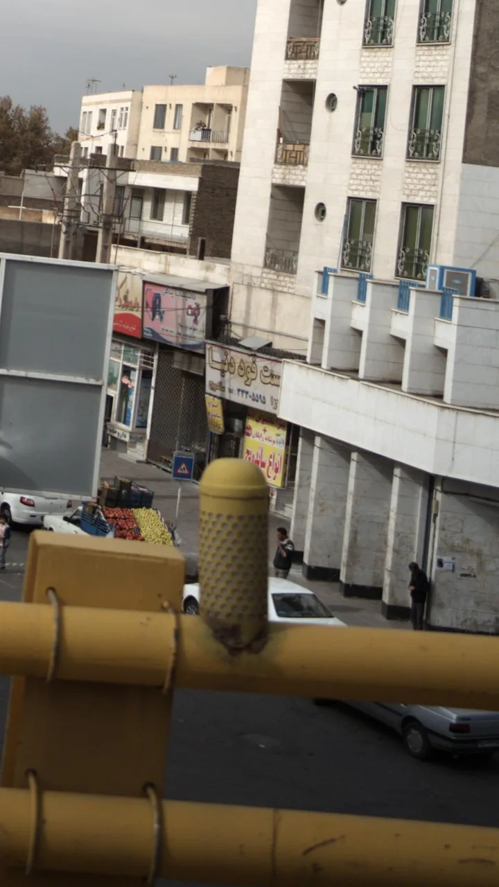 فست فود دنیا