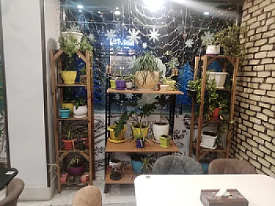 فست فود ترنگ