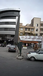 فونگی