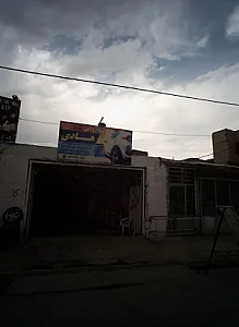 کارواش هادی