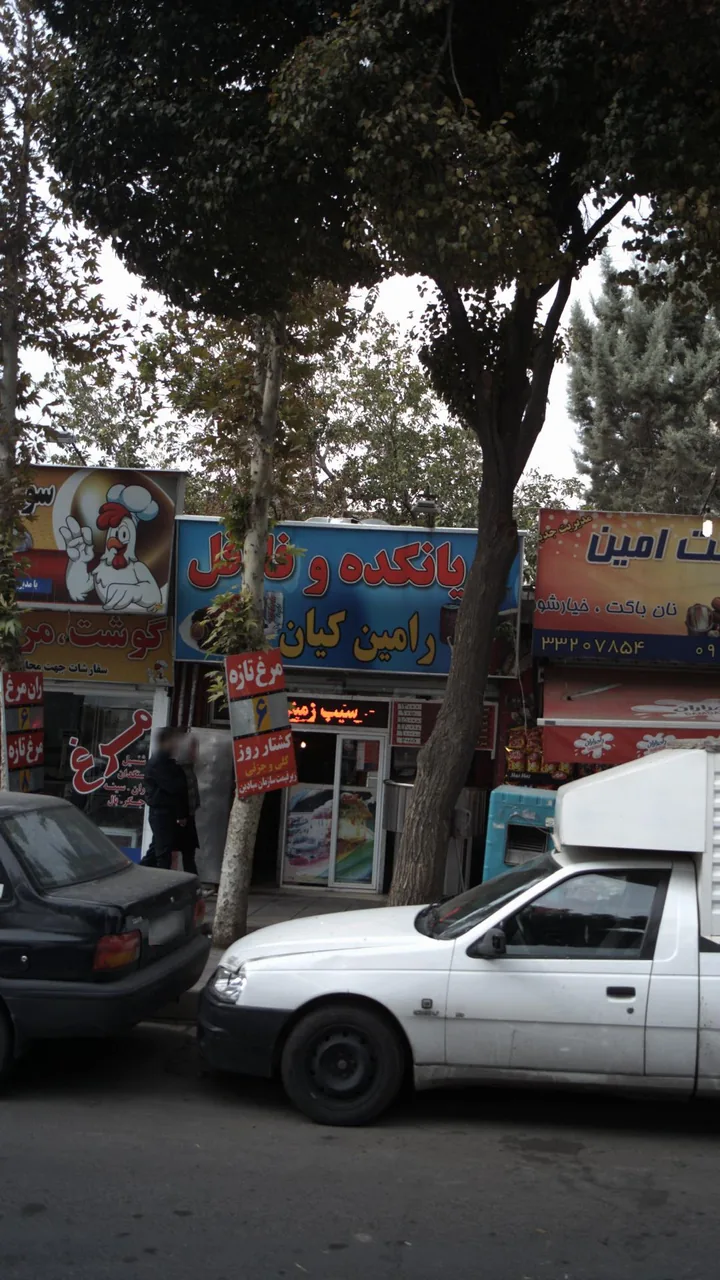 بریانکده فلافل