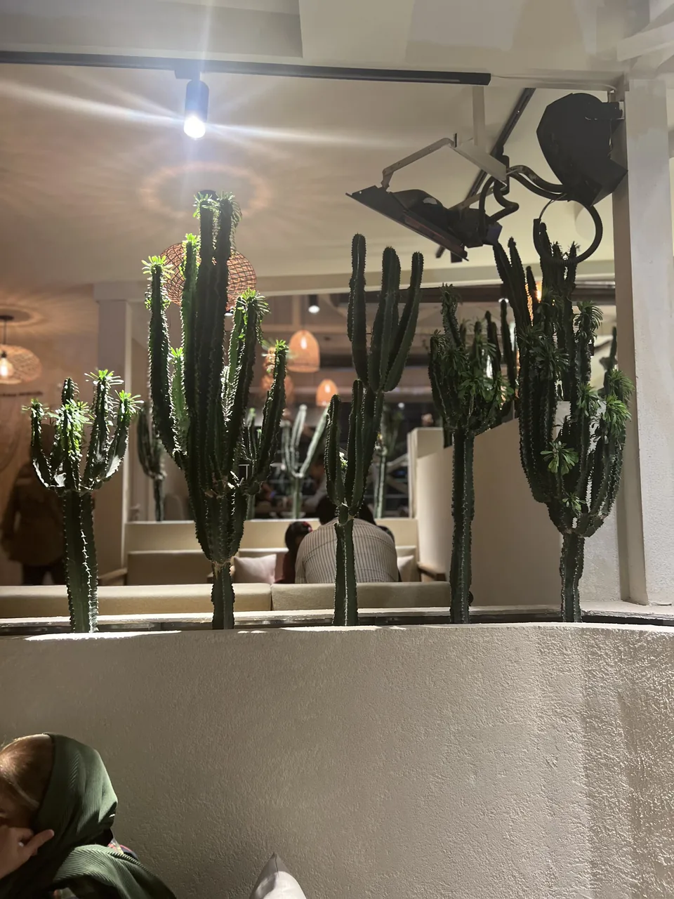 فست فود کنزا - تصویر 3