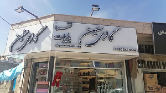 بدلیجات سلین