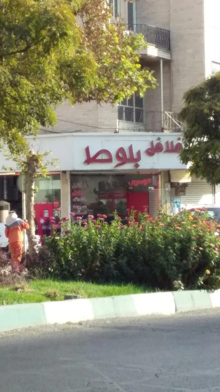 فلافل بلوط - تصویر 2