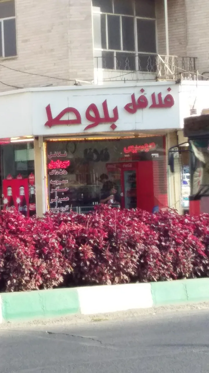 فلافل بلوط - تصویر 4