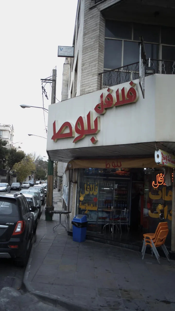 فلافل بلوط - تصویر 5