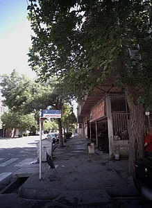 کارواش کارواش ونوس