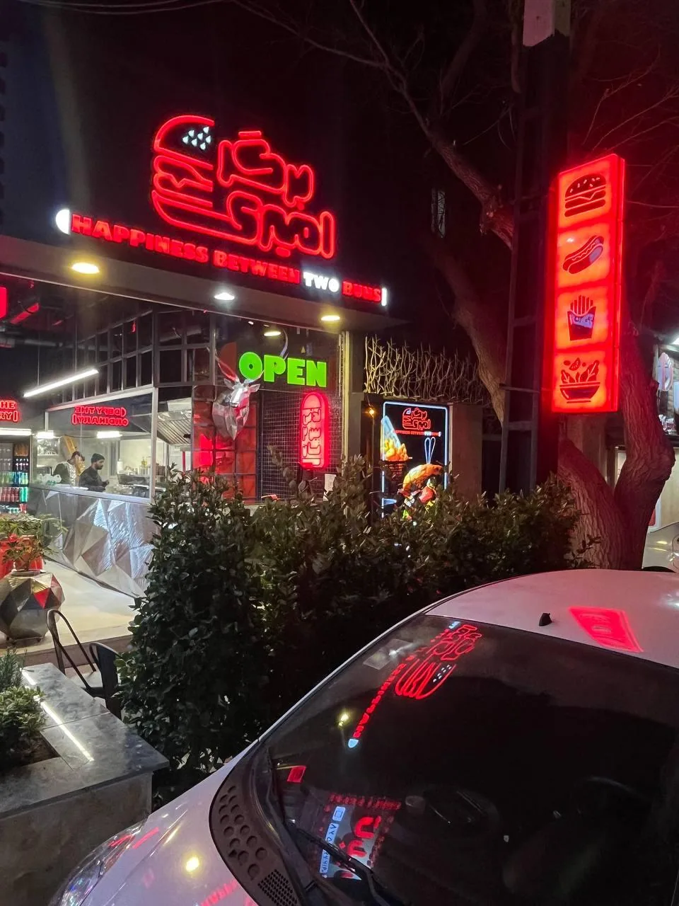 برگر امیری - تصویر 4