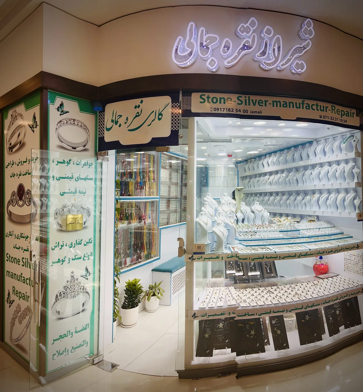 شیراز نقره جمالی - تصویر 6