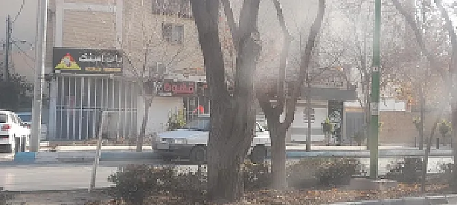 فست فود آیرین