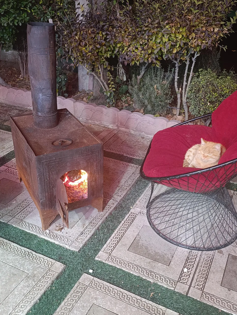 فود زود کیلو - تصویر 3