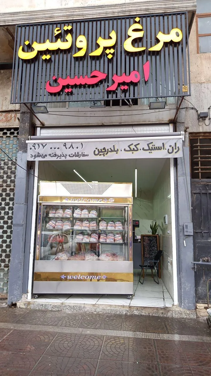 مرغ و پروتئین طاهری
