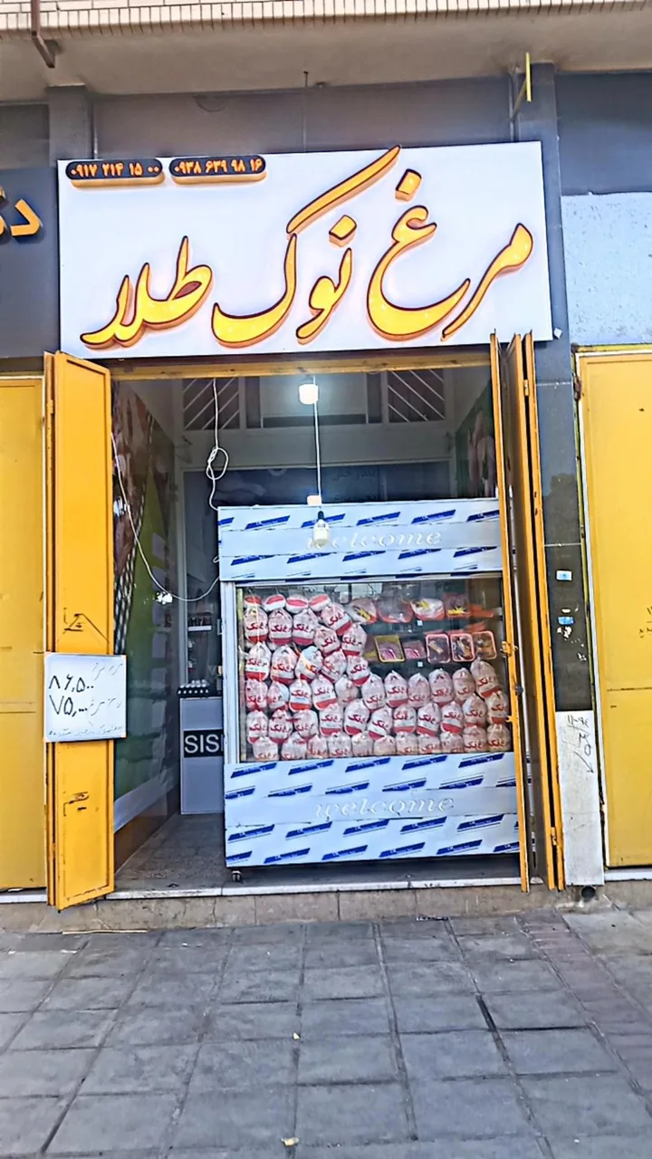مرغ نوک طلا - تصویر 2