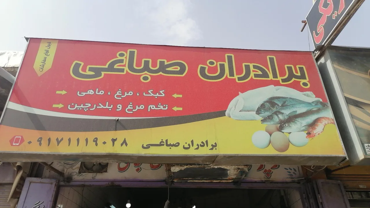 مرغ یوسفی - تصویر 2