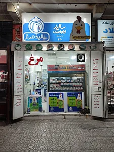 مرغ آزادگان