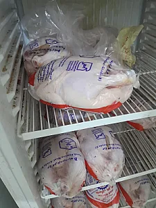 مرغ عرشیا